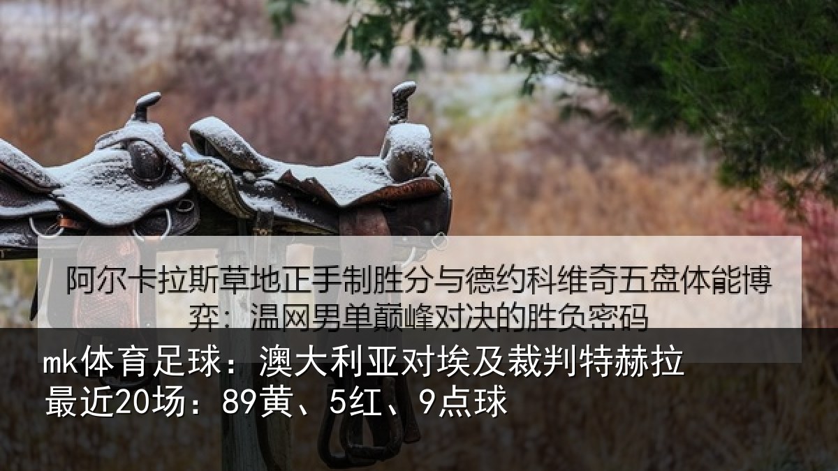mk体育足球：澳大利亚对埃及裁判特赫拉最近20场：89黄、5红、9点球