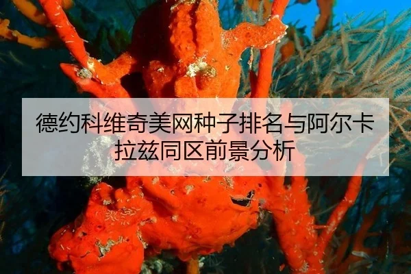 de-yue-ke-wei-qi-mei-wang-zhong-zi-pai-ming-yu-a-er-ka-la-zi-tong-qu-qian-jing-fen-xi-2-503.jpg